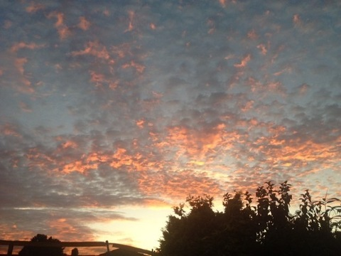 v_baby OnlyFans - Free Access to 32 Videos & 49 Photos Onlyfans Free Access