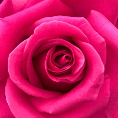 valejetzahel OnlyFans - Free Access to 32 Videos & 49 Photos Onlyfans Free Access